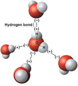 hydrogen_bond