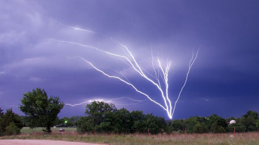 trees-struck-lightning