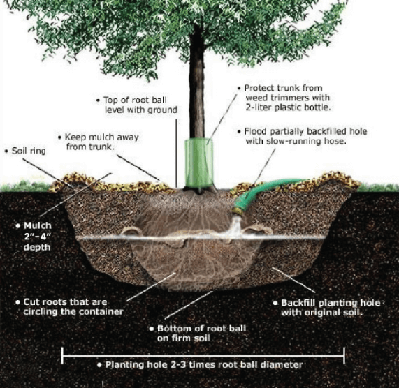 planting-methods