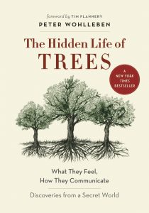 The_Hidden_Life_of_Trees