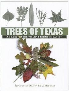 trees_of_texas