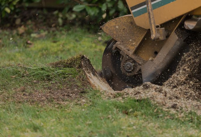 stump_grinding_services