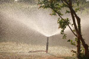Sprinkler demonstrating how to water trees properly in Grapevine, Texas.