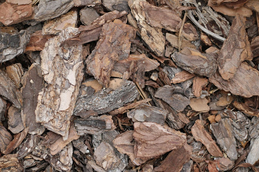 Close-up of organic mulch used in Dallas for enhancing tree health and soil quality in urban forestry.