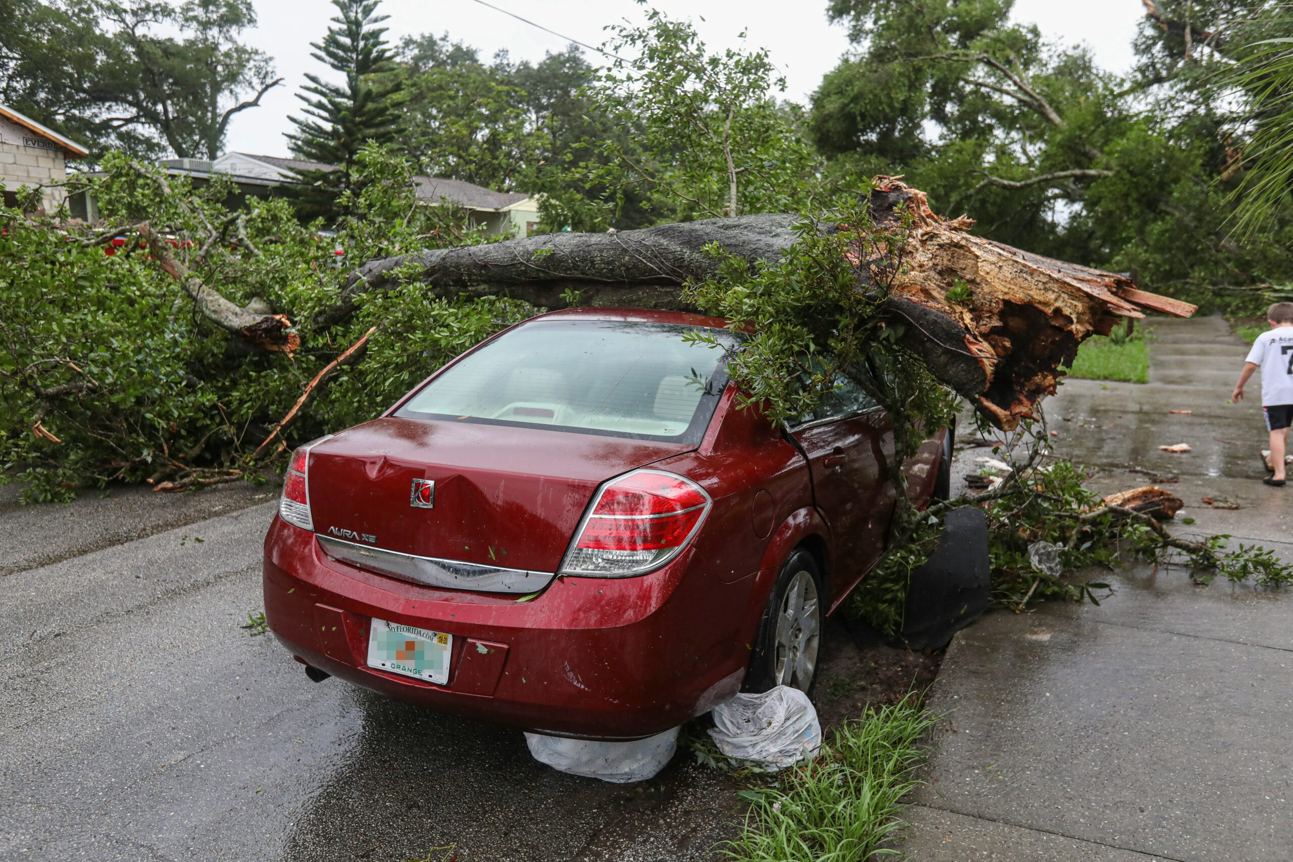 Red car damaged by a fallen tree, highlighting the need for emergency tree removal services in Fort Worth.