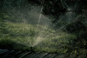 Eco-friendly irrigation system watering trees and grass, demonstrating sustainable tree care practices in Fort Worth.
