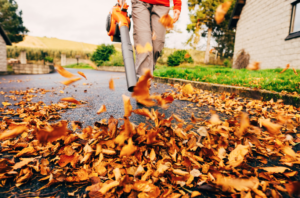 autumn-tree-maintenance-essential-tasks-for-a-healthy-yard-3