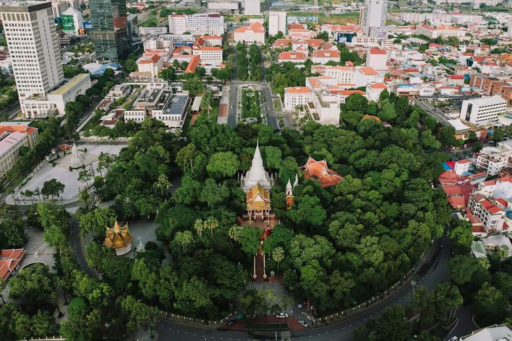 city with trees