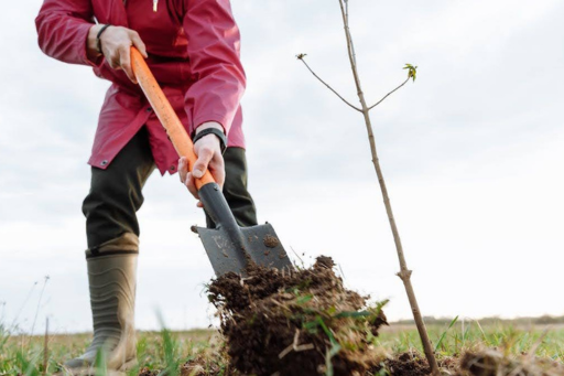 person digging with a shovel