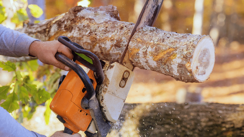 chainsaw cutting a log