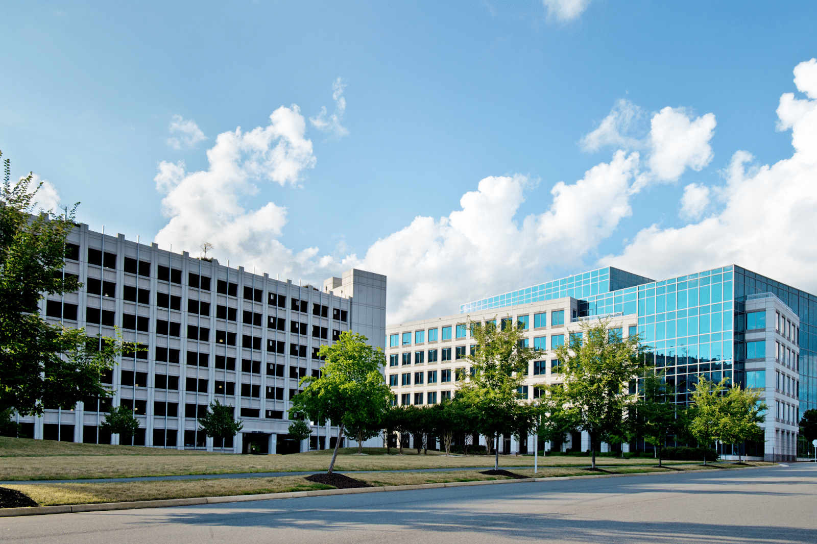 commercial tree services dallas tx