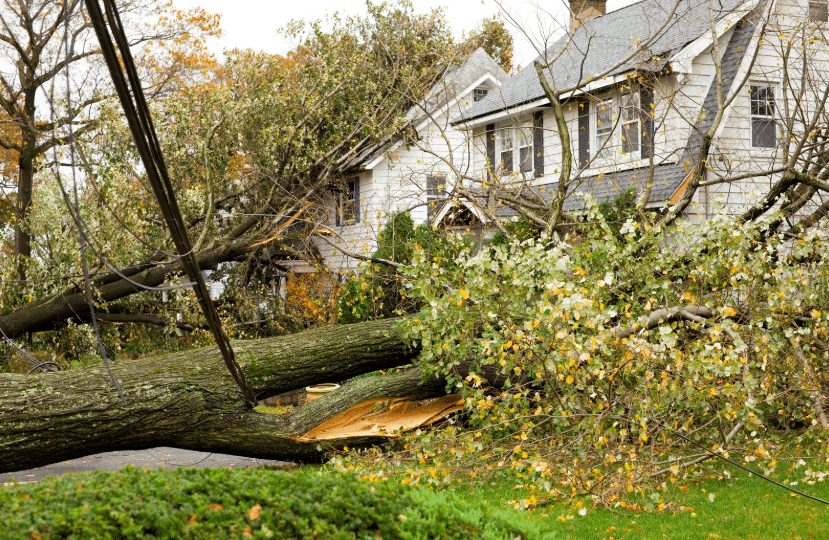 storm damage cleanup services dallas tx