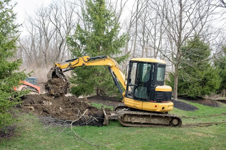 root collar excavation saves trees from decline 1