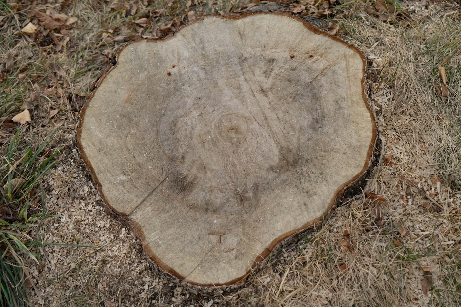 Reclaim Your Yard with Confidence